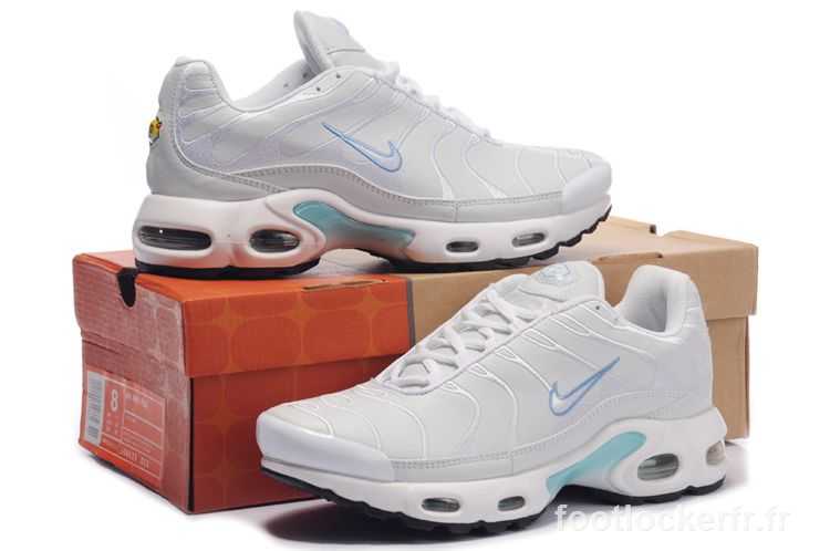 nouvelle requin tn pascher vendange requin tn rouge france